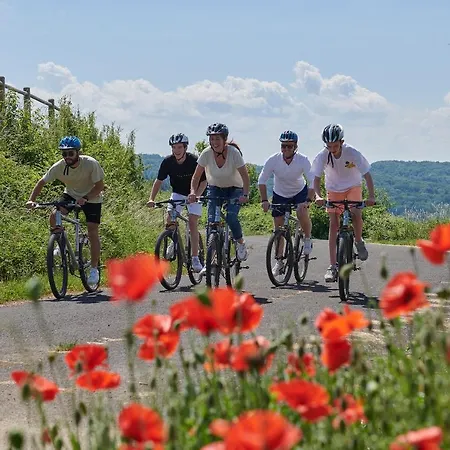 Holiday home Vallee Les Etoiles Blaimont