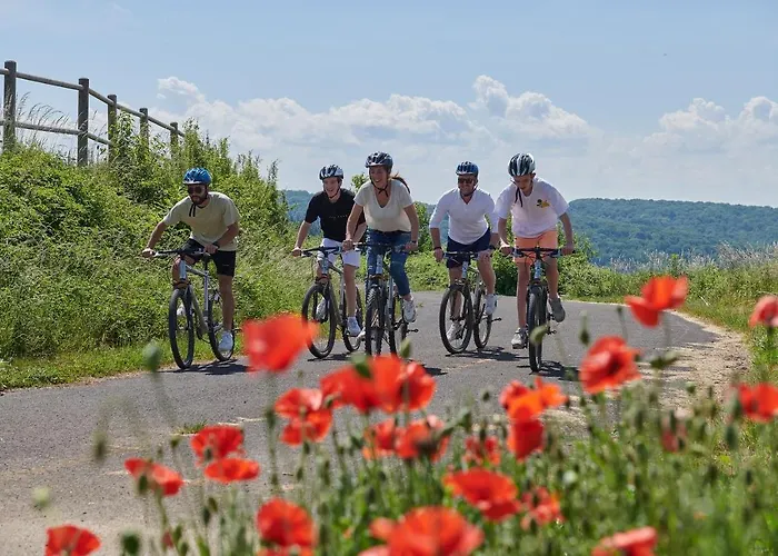 Holiday home Vallee Les Etoiles Blaimont
